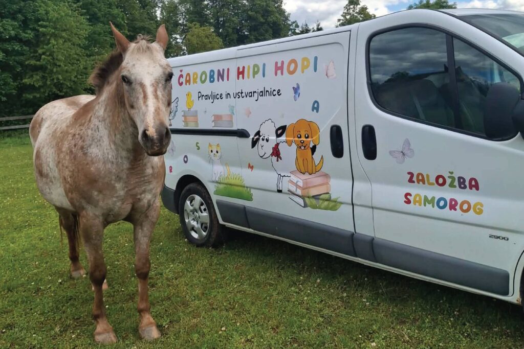 janja dermastja čarobni hipi hopi